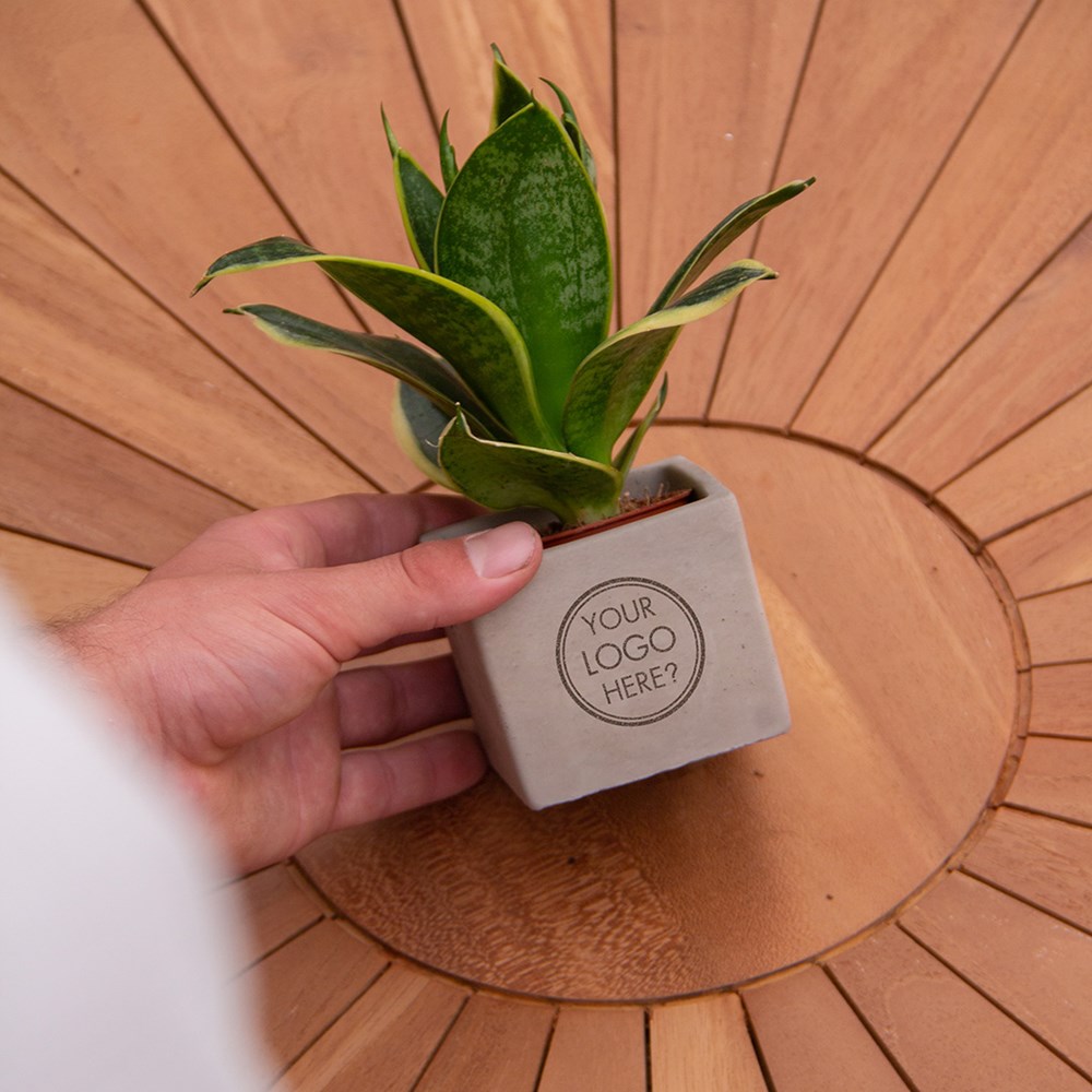 Congreet® plantpots, In giftbox