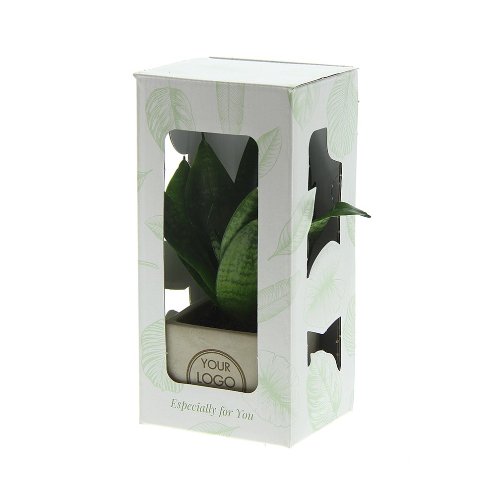 Congreet® plantpots, In giftbox